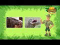 lizard hanging for dear life 🦎 leo lizards compilation leo the wildlife ranger kids cartoon