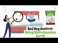Bed Bug Control: Using Diatomaceous Earth for Effective Bed Bug Elimination - How-To Guide