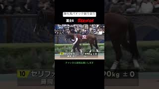 勝ち馬パドック振り返り　富士ステークス　セリフォス