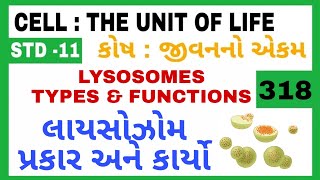 LYSOSOMES,TYPES \u0026 FUNCTIONS IN GUJARATI ||લાયસોઝોમ, પ્રકાર અને કાર્યો