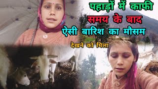 पहाड़ों में भारी बारिश 🌧️ से जनजीवन अस्त व्यस्त हो गया। pahadi lifestyle vlog ।Roshani pahadi vlog