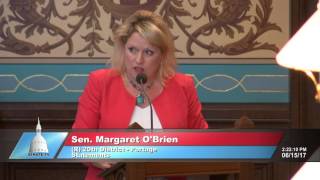 Sen. O'Brien honors the life of Comstock Fire Chief Switalski