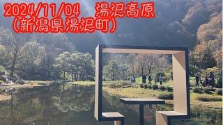 2024/11/04　湯沢高原紅葉（新潟県湯沢町）