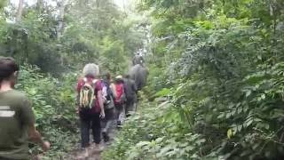 Walking Safari at Tiger Tops in Nepal