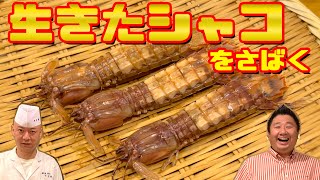 【食材特集】めったに見られない生きてるシャコを一流寿司職人がさばいて握ってくれる！【後楽寿司やす秀】