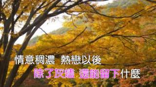 秋意上心頭-陳淑樺歌詞《Karaoke》