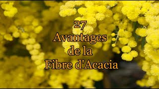 27 avantages de la fibre d'acacia