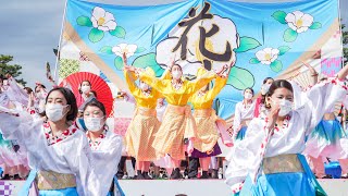 [4K] 京炎そでふれ！花風姿　京都さくらよさこい 2021 1日目 神宮道 さくよさ (中央)