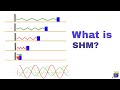 Simple Harmonic Motion #1