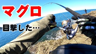 夏のショアジギング！シイラとマグロのボイルを初めて目撃した！