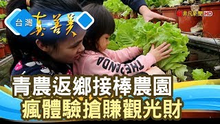 “休閒農園”瘋體驗旅遊│十二寮休閒農園│【台灣真善美】2020.01.12