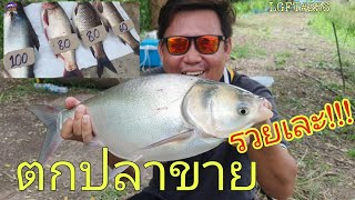 ตกปลาหน้าดิน บ่อกึ่งธรรมชาติ ขายปลารวยเละ!!!  LGFT#256