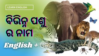 Animals Name In English And Odia | ବିଭିନ୍ନ ପ୍ରକାରର ପଶୁ ର ନାମ | Learn English In Odia