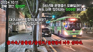 BUS.41 경북 경산 509번 놀이기구 타러 이월드에 갈 필요없다!! 경산/시지 ⬌ 성서/서재를 이어주는 유일한 노선 🚌🚌 (경산버스 7311),(2024.10.11) #경산