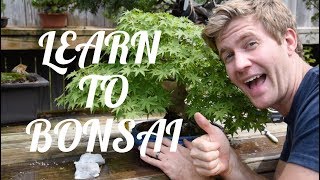 ADVANCED BONSAI COURSE!