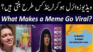 What Makes Something Go Viral | How Memes are Made that Go Viral | Moye Moye Video