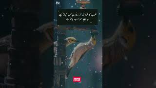 #Beshak#Naseeb#ytshorts#viral#trending#islamic#writes