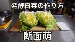 【裏技】白菜がバラバラにならない切り方#shorts