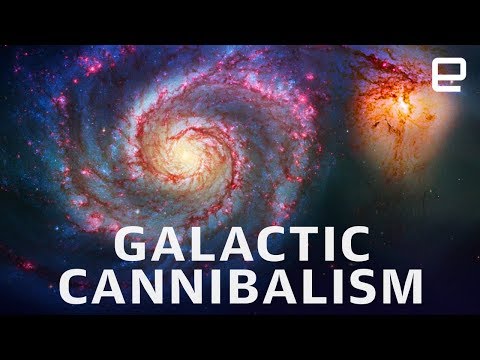 Does the Milky Way have a sister galaxy?