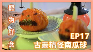 寵物鮮食【Jamie's 輕鬆手作】帶著寵物去上班--辦公室就能搞定的寵物鮮食點心！萬聖鮮食好吃又好看！｜ EP17 古靈精怪南瓜球