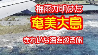 梅雨明けの奄美大島旅行　きれいな海を巡る旅のスタートです　晴れた日の奄美大島の海はヤバイくらいきれいだった