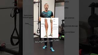 Esercizio di allungamento del soleo e del polpaccio #stretching #allungamento #soleo