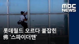 롯데월드 오르다 붙잡힌 佛 '스파이더맨'…\