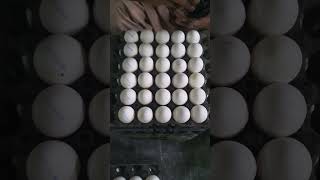 How to mention expiry date on EGGS