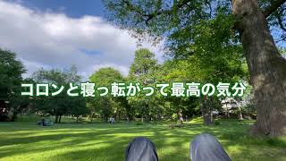 北大校内をお散歩！♯北海道大学し♯北大♯ポプラ並木♯札幌♯北海道