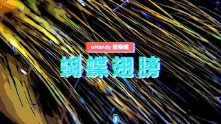 最狂粉報到！蝴蝶翅膀「鱗粉」的顯微觀察｜uHandy 微樂趣系列