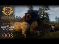 Let's Play - The Witcher 3 NS+ - 003 - Greifenjagt