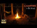 4K HDR Campfire in the Woods - Crackling Fire & Cricket Sounds - Relaxing Nighttime Camping Ambiance