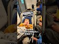 三人年子初めての新幹線🚄 日常 赤ちゃん 育児vlog 新幹線 shorts travel