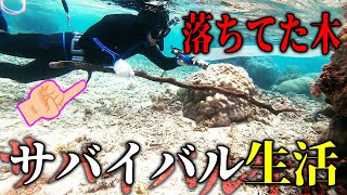 プロの魚突き師なら落ちてた棒で魚を突けるのか【素潜りサバイバル #6話】