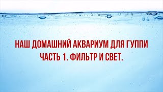 ДОМАШНИЙ АКВАРИУМ ДЛЯ ГУППИ. ЧАСТЬ 1.  ФИЛЬТР И СВЕТ./A HOME AQUARIUM FOR GUPPIES. FILTER AND LIGHT.