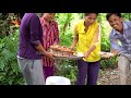 delicious cooking 15kg of probarbus labeamajor recipe deep fried fish sour sweet fish sauce