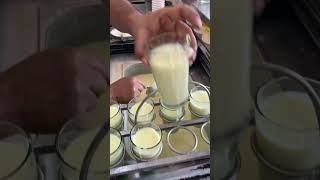 Oldest lassi shop of India | Jodhpur Food | Street Food