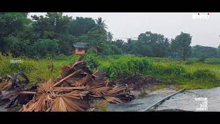 Rain Walk Through Palakkad Paddy Fields~Pallassana | Adipoli #Adipoli #palakkad #pallassana