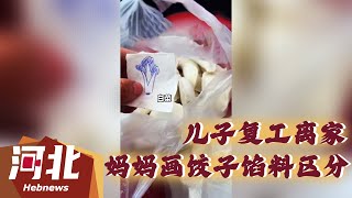 【民生新闻】江苏一位儿子复工离家，妈妈给包了饺子并且画出馅料方便区分。儿子表示，“妈妈虽然不识字，但她却是一个画家”。网友：妈妈的爱是最伟大的，因为爱，她可以画出万物。#新闻 #热点 #热门 #民生