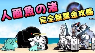 人面魚の渚     完全無課金攻略     にゃんこ大戦争    絶滅海洋タウン