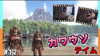 【ARK】初めてのかわいいカワウソテイム。どっから出たねん