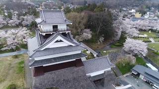 桜空撮　上山城（山形県上山市）