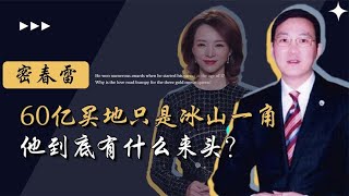 二婚迎娶董卿为妻，花60亿买地轰动全网，密春雷到底什么来头？