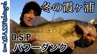 【冬　霞ヶ浦　バス釣り】パワーダンクのストップ\u0026ゴーで牛堀フィッシュ