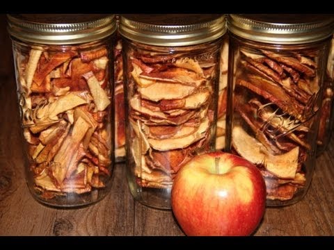 Dehydrated Apple Chips, Better Than Store Bought Dehydrated Apple Chips, Better Than Store Bought