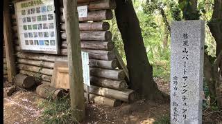 野鳥の水浴びの様子　秦野　権現山バードサンクチュアリ