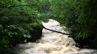 Hochwasser Wesenitz , Blick zur Lochmühle