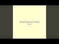 Shadow Harmony Tranquil
