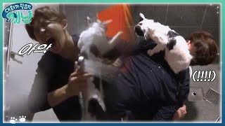 극한의 고양이 목욕시키기 아악악 | #대화가필요한개냥 EP15 #02