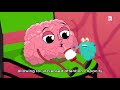 why do we blink the dr. binocs show best learning videos for kids peekaboo kidz